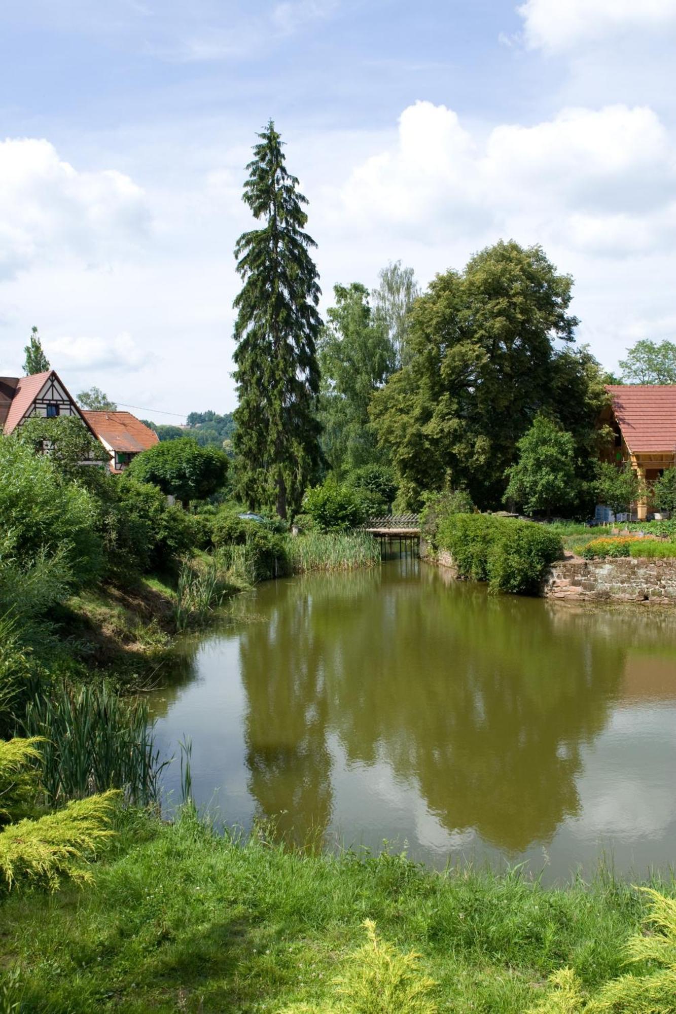 Auberge D'Imsthal La Petite-Pierre Eksteriør billede
